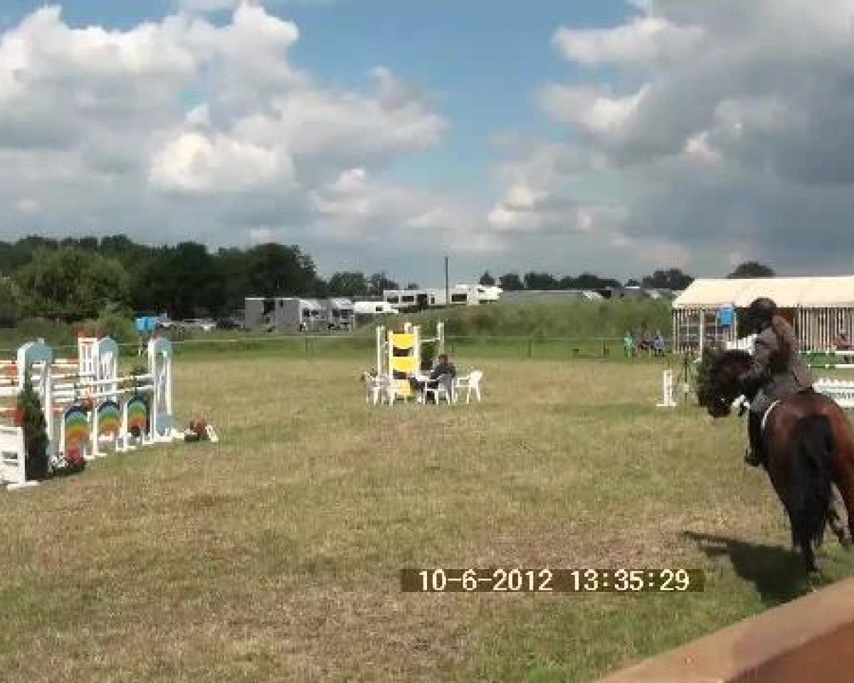 jumper Pipi Lotta 3 (Hanoverian, 2002, from Prinz Pablo)