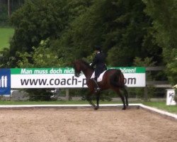 dressage horse Paritjätt (CIS Warmblood, 1994)