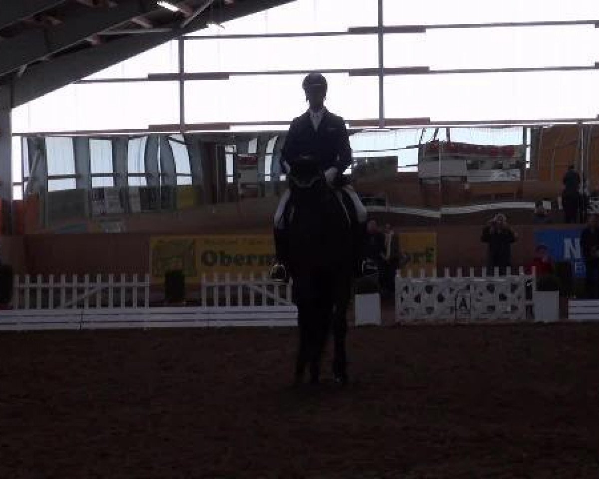 dressage horse Ruwina 3 (Swiss Warmblood, 2006, from Rubin Cortes OLD)