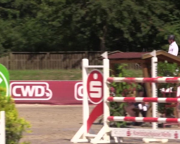 Reitturnier Melle-Ostenfelde 2022