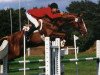 stallion Rocky du Carel (Selle Français, 1983, from Grand Veneur)