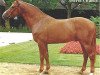 stallion Worldchamp (Hanoverian, 1985, from World Cup I)