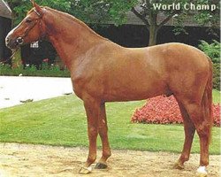 stallion Worldchamp (Hanoverian, 1985, from World Cup I)