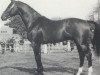 stallion Camus (Holsteiner, 1989, from Calypso I)