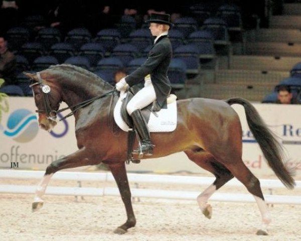 stallion Farmer (KWPN (Royal Dutch Sporthorse), 1987, from Voltaire)