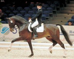 stallion Farmer (KWPN (Royal Dutch Sporthorse), 1987, from Voltaire)