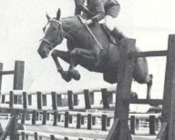 broodmare Jesabelle de Baugy (Anglo-Norman, 1953, from Ascot AN)