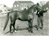stallion Erdball xx (Thoroughbred, 1956, from Abendfrieden xx)