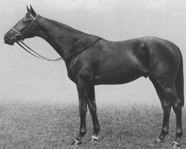 stallion Unbreakable xx (Thoroughbred, 1935, from Sickle xx)