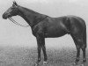stallion Unbreakable xx (Thoroughbred, 1935, from Sickle xx)