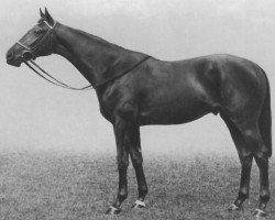 stallion Unbreakable xx (Thoroughbred, 1935, from Sickle xx)