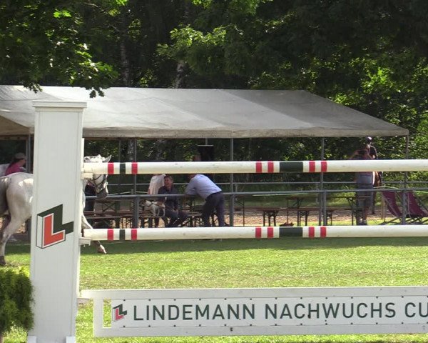 Reitturnier Wohlesbostel 2022