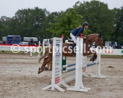 jumper Classic Girl 6 (German Riding Pony, 1992, from Classic Ippe)