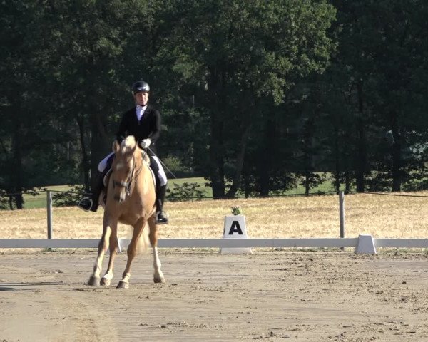 Reitturnier Wohlesbostel 2022