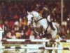 stallion Elanville (Dutch Warmblood, 1986, from Renville)