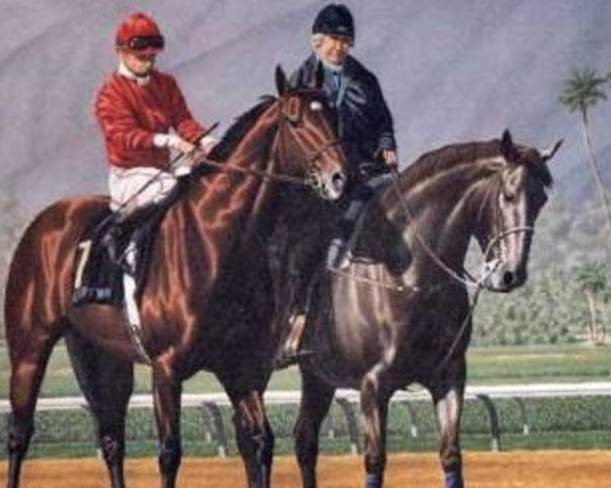 stallion Desert Wine xx (Thoroughbred, 1980, from Damascus xx)