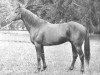 stallion Montfleur xx (Thoroughbred, 1959, from Beau Prince II xx)