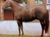 stallion Ballymoss xx (Thoroughbred, 1954, from Mossborough xx)
