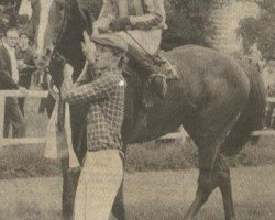 stallion Midas xx 1434 (Thoroughbred, 1978, from Ballustrade xx)