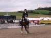 dressage horse Action 51 (KWPN (Royal Dutch Sporthorse), 2000, from Olivi)