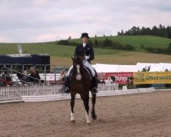 dressage horse Action 51 (KWPN (Royal Dutch Sporthorse), 2000, from Olivi)