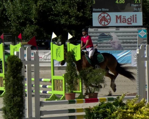 Reitturnier Balsthal 2022