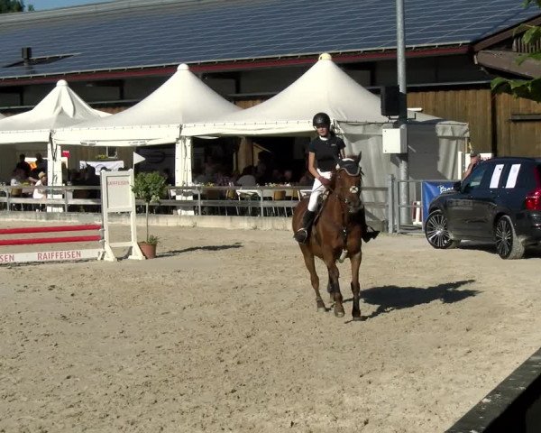 Reitturnier Balsthal 2022