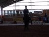 dressage horse Ruwina 3 (Swiss Warmblood, 2006, from Rubin Cortes OLD)