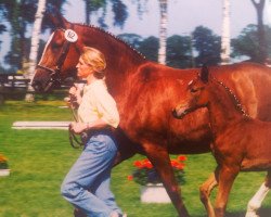 broodmare Edina (Hanoverian, 1992, from Edinburgh)