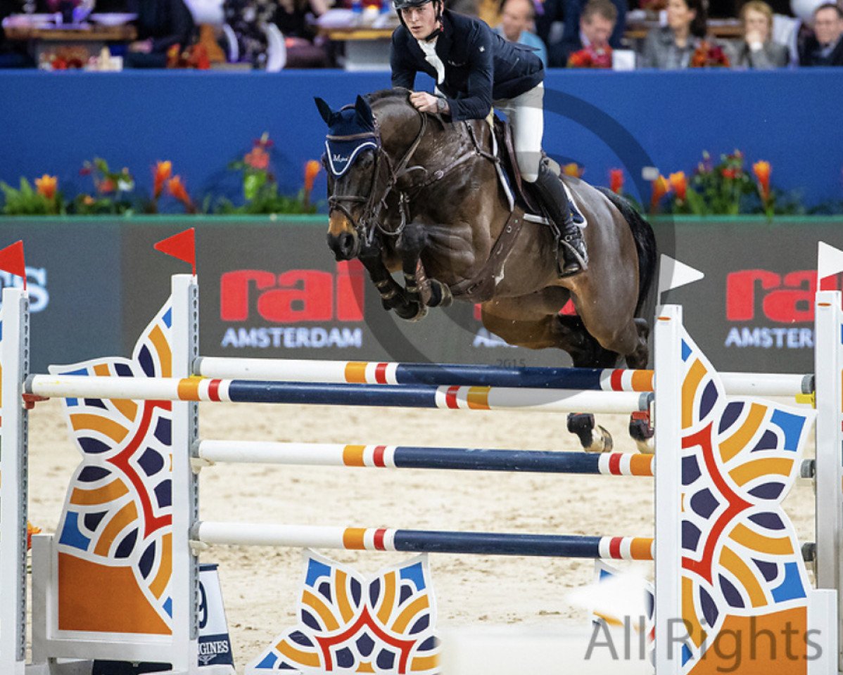 jumper El-Gore-Go (KWPN (Royal Dutch Sporthorse), 2009, from Namelus R)
