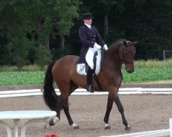 dressage horse Ludgar (Westphalian, 2001, from Lamoureux II)