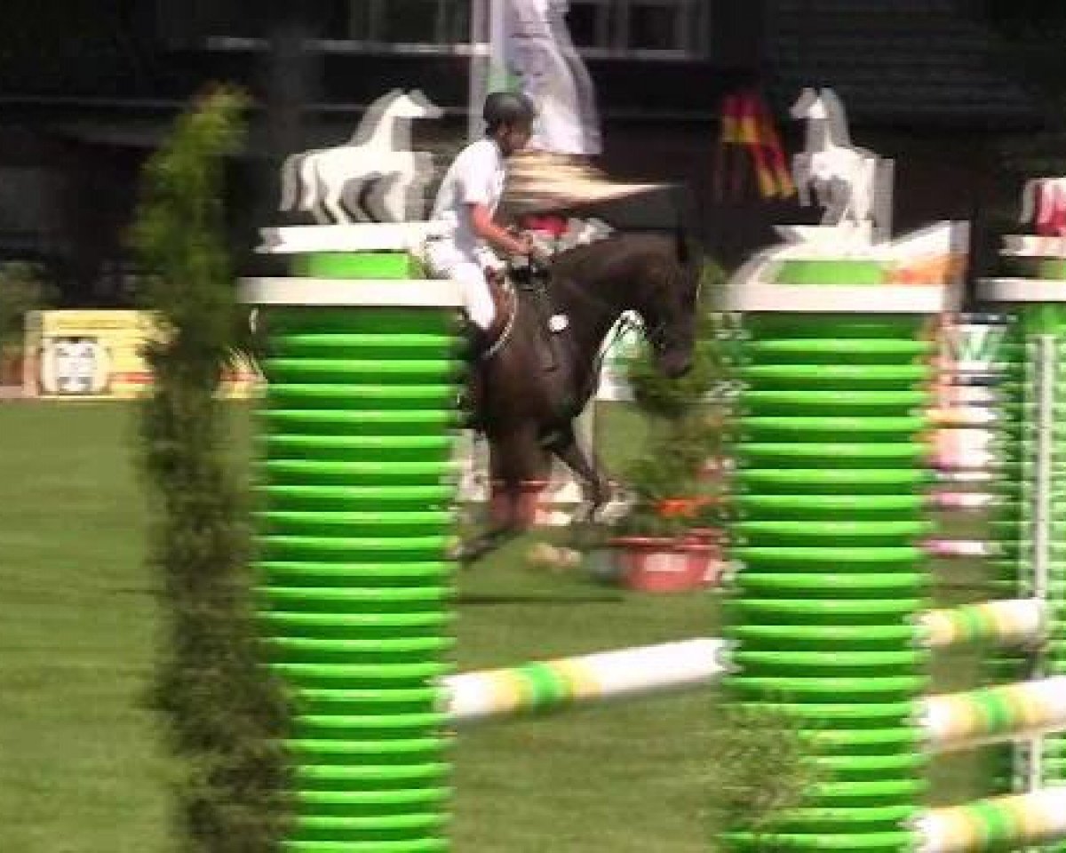 jumper Udarko (Westphalian, 2008, from Ustinov)