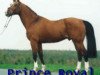 stallion Prince Royal (Selle Français, 1981, from Ukase)