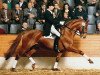 stallion Bon Bonaparte (Hanoverian, 1984, from Bolero)