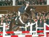 Springpferd Copilot 9 (Westfale, 2002, von Contender)