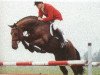stallion Goodwill (Holsteiner, 1988, from Landgraf I)