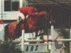 stallion Furore (KWPN (Royal Dutch Sporthorse), 1987, from Ahorn)