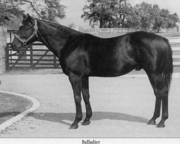 stallion Balladier xx (Thoroughbred, 1932, from Black Toney xx)