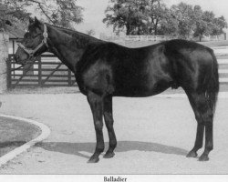 stallion Balladier xx (Thoroughbred, 1932, from Black Toney xx)