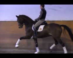 dressage horse Jazztime (Westphalian, 2006, from Jazz Rubin)