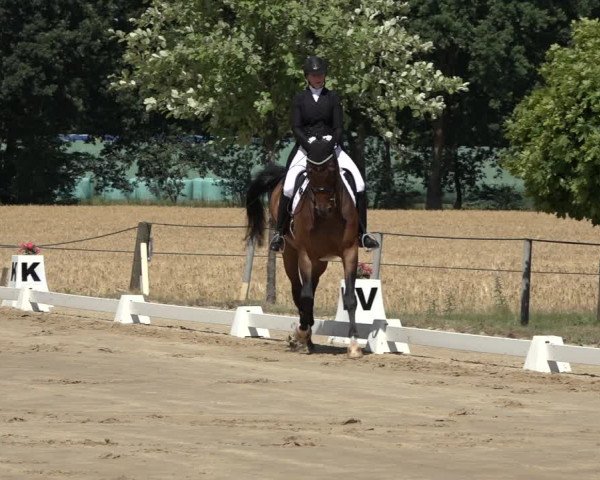 Reitturnier Wohlesbostel 2022