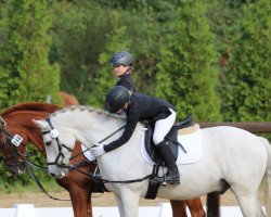 jumper Grisou 66 (German Riding Pony, 2004, from Germany)