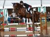 jumper Karolina (German Sport Horse, 2004, from Kaiserwind)