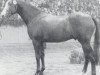 stallion Landjunker II (Holsteiner, 1986, from Landgraf I)