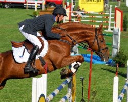 stallion Imequyl (polish noble half-breed, 1999, from Luron)