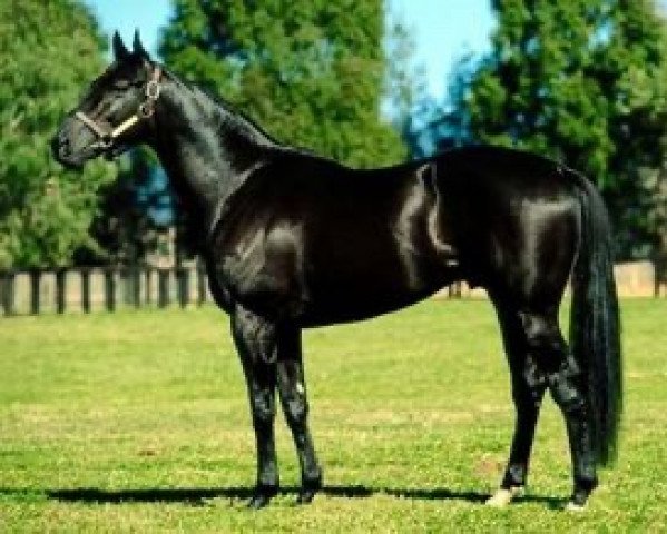 stallion Charnwood Forest xx (Thoroughbred, 1992, from Warning xx)