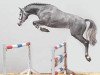 stallion Cassito (Holsteiner, 2006, from Cassiano)