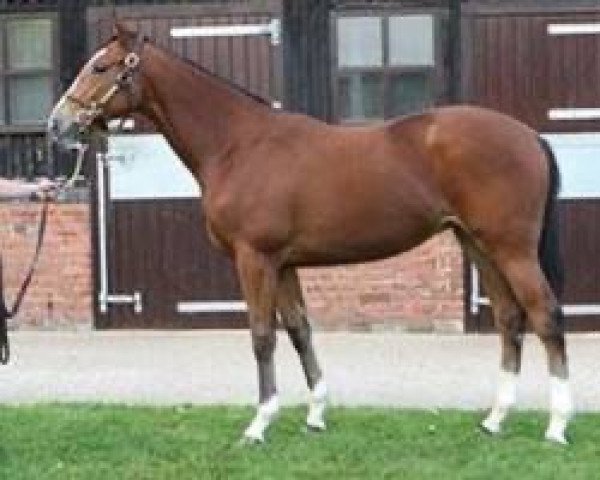 broodmare Memory xx (Thoroughbred, 2008, from Danehill Dancer xx)