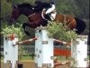 stallion Liatos (Holsteiner, 1993, from Landgraf I)