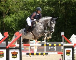 broodmare Kartoffelbrei R (Oldenburg show jumper, 2016, from Kannan)